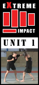 Extreme Impact Unit 1