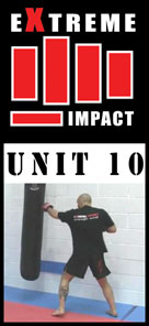 Extreme Impact 10